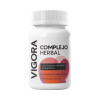VIGORA