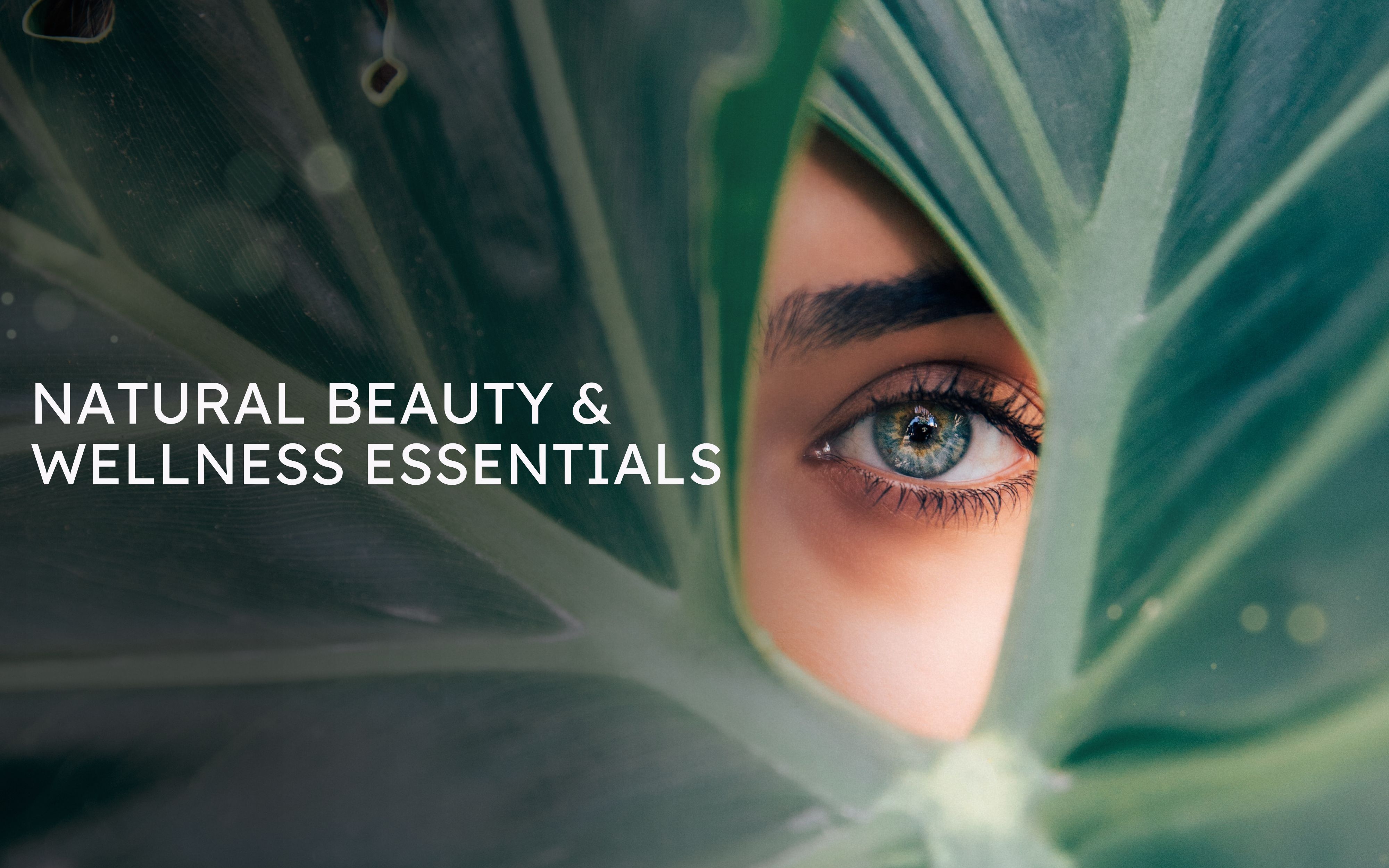 WellNaturals Hair Oil